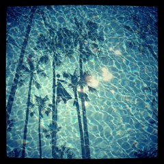 multichannel - Honolulu