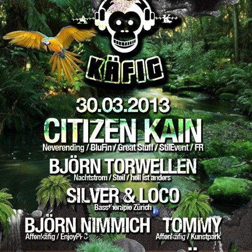 Björn Nimmich @ Affenkäfig Kunstpark Cologne 31.03.2013