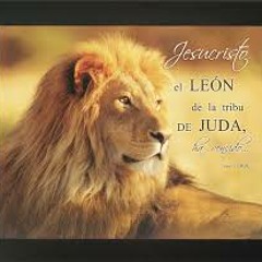 León De Judah- Zm Rudeboy Junto A Marotah(Hijos De Adonai) & Barbara Macaya