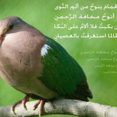 نوحُ الحمام