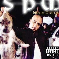 Spm the System