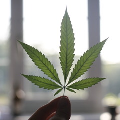 Limbo (Delaware Jer Remix)