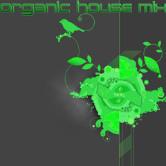 Organic House Mix