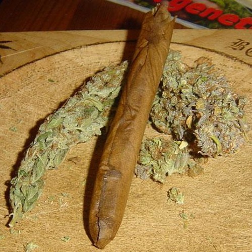 Trae- Stick of Dro Ft Z-Ro Chopped And Screwed By DJ SlimReaper