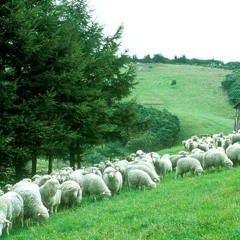 [주일말씀] 2013.4.20  잠16:32  "마음을 다스리라"