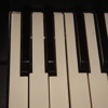 When I Was Your Man by Bruno Mars - Keyboard cover