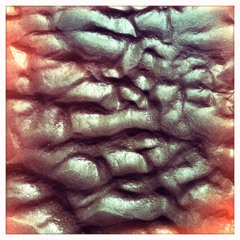 Song of the Ancients