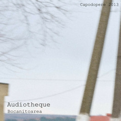 Audiotheque - Bocanitoarea (Denizio Valdemar Remix) Capodopere Records