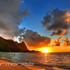 DJ Harmonics & DJ Striden - Please Remember
