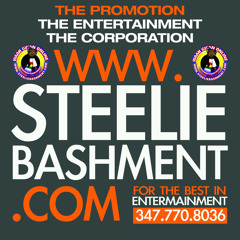 STEELIE SOUL SERENADE 10