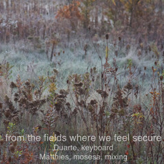 From the fields where we feel secure (Duarte, keyboard, Matthies, mosesa, mixing)