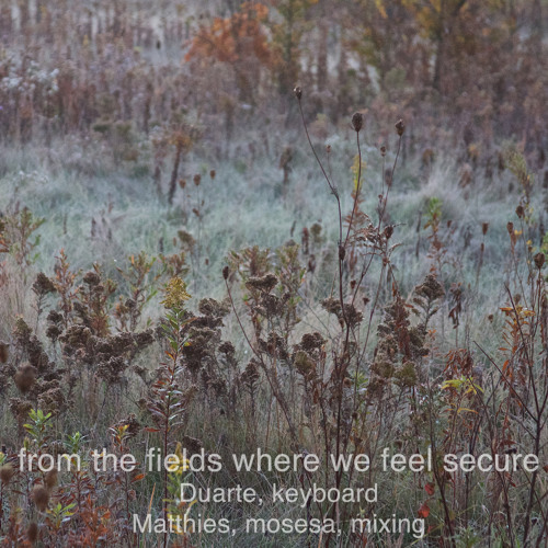 from the fields where we feel secure (Duarte: keyboard, Matthies: mosesa, mixing)
