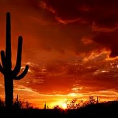 Sunset in my Back