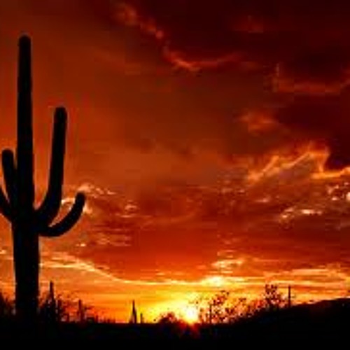 Sunset in my Back
