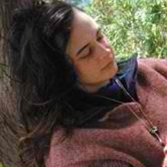 Julia "Butterfly" Hill, Are You Up There Still?
