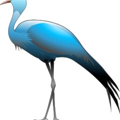 Blue Crane Waltz