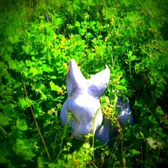 Springtime!