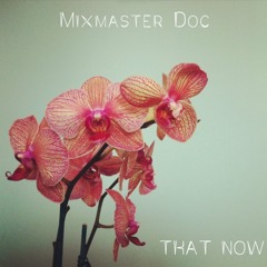 Mixmaster Doc - Never Loved You - From the album "That Now"