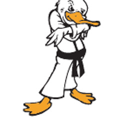 DJ ShakeDown - Project Groove vol. 1_Duck Chi