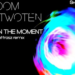 RoomTwoten - Be In The Moment (Nattrasz Remix) [Shivilize]