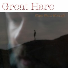 What Went Wrong?