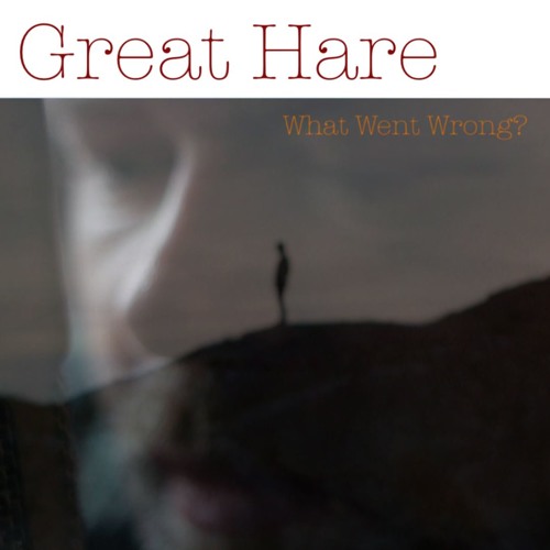 What Went Wrong?