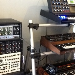Prophet 5 into a Roland chorus echo RE-301