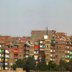 Concrete Jungle