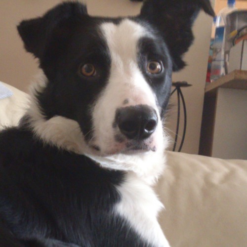 Dj Alex-Orange Theme Mini Mix