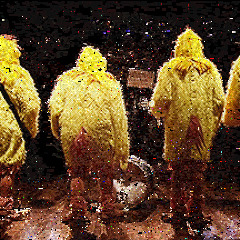 Ho Hey-The Chickeneers(Jimmy Fallon, Blake Shelton, and Nick Offerman)