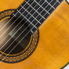 Colombiana (Paco Peña)