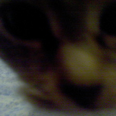 Стиль beats - 39