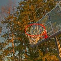 Left the NBA (Still Usin The Rim)