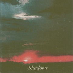 New finds in 2013 Vol. 5