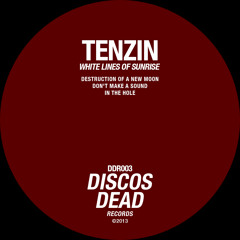 Tenzin - In The Hole