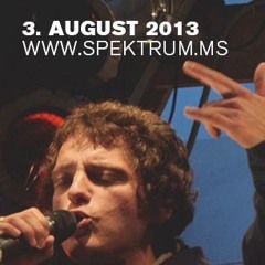 SPEKTRUM 2013