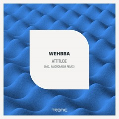 Wehbba - Attitude (Original Mix)
