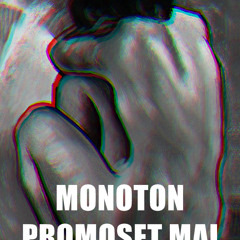 Ehem. Monoton - Promo Mai 2013