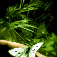 I can fly (with you by my side)