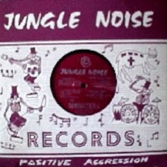 STEVE OIN - Jungel Noise