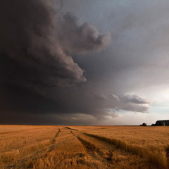 The Perfect Storm Minimix Vol. XV