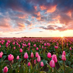 วัยทองรำลึก cover by ANdromeda