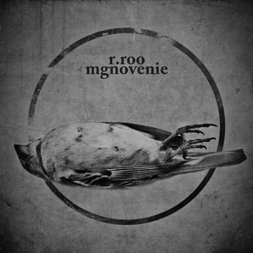 r.roo - kasanie