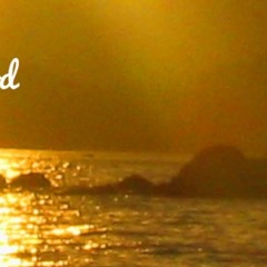 SunnyMood