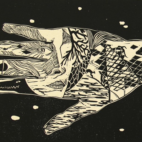 The Water - Laura James