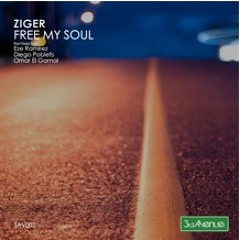 Ziger  Free My Soul (Original)_3rd Avenue