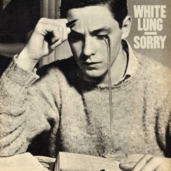 lo-fi / garage rock / post-punk / punk / shoegaze / indie rock / noise rock - Part 1