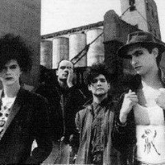 CAIFANES