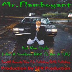 Mr.Flamboyant (I Am A Southern Boy) Mp3 File