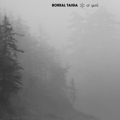 Boreal Taiga - diyáa